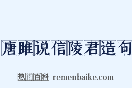 唐雎说信陵君造句是什么意思的图片